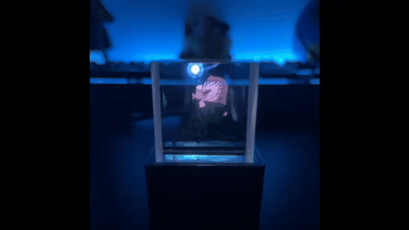 AniCube™