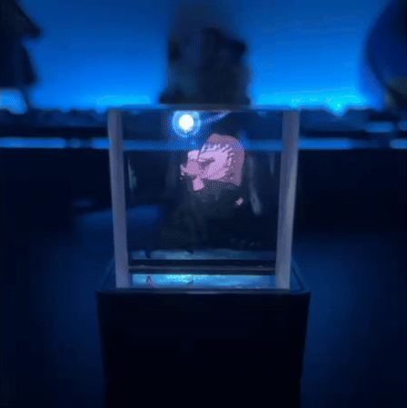 AniCube™